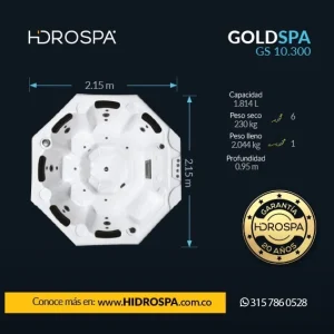 GOLDSPA 10.300
